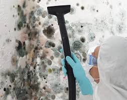 Why You Should Choose Our Mold Remediation Services in Plymouth, CA